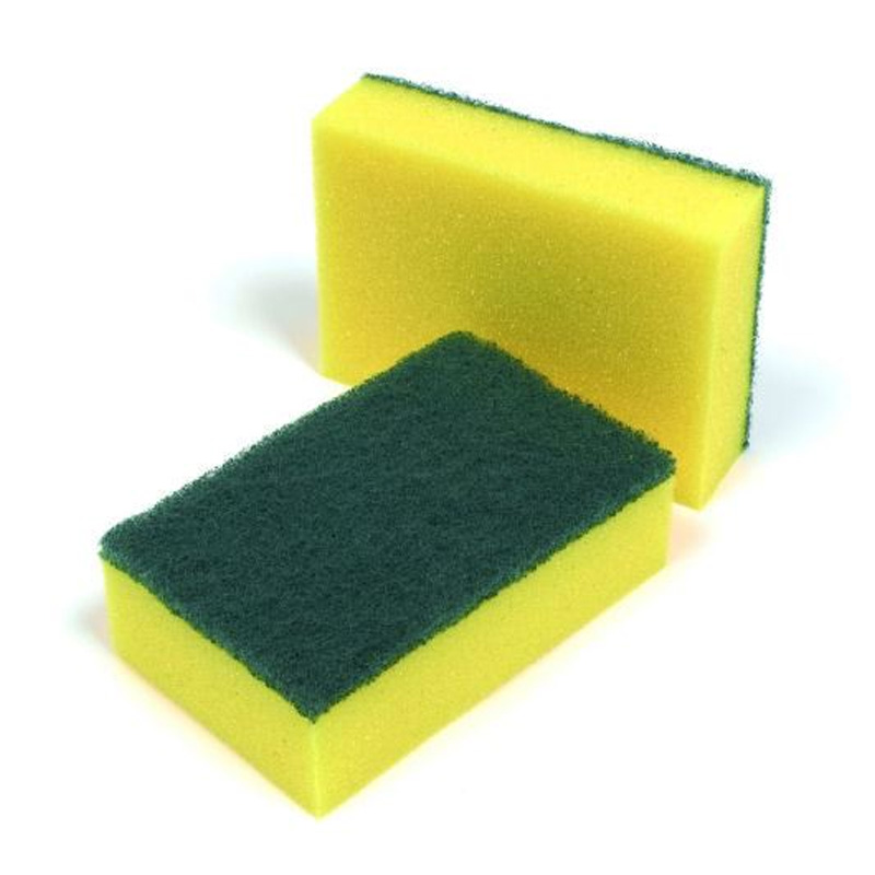 spongescourer.jpg