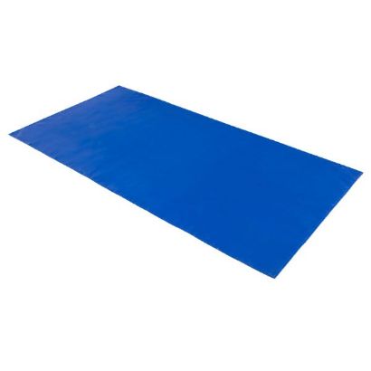 Picture of Flat Reusable Slide Sheet - No Handles - 200cm x 100cm Blue (Pack of 4)