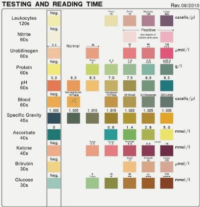 Picture of ALLTEST 10 Parameter URS10 Urinalysis Urine Test Strips  x 100